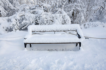 Image showing one bench with snow on in the winter