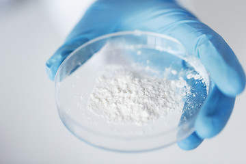 Image showing close up of scientist holding petri dish in lab