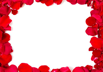 Image showing close up of red rose petals blank frame