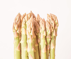 Image showing Retro looking Asparagus vegetable