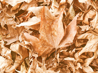 Image showing Retro looking Falling leaves