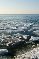 Image showing Melting ice floe at the sea