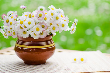 Image showing A bouquet of daisies in a pot at the table