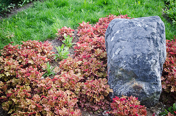 Image showing Decorative flower bed in a garden with rocks and plants, close-u