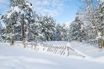 Image showing Snow-covered fence in the countryside. Viitna, Estonia