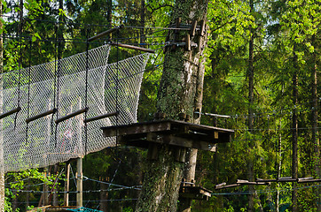 Image showing Dangerous ropeway with tether in rope park, trees with green lea