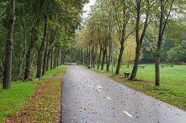 Image showing Alley with fallen leaves in autumn park