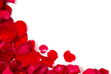 Image showing close up of red rose petals with copyspace