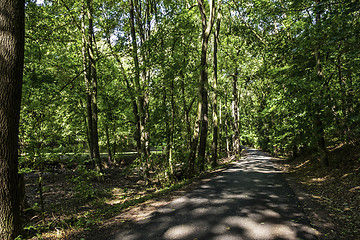 Image showing Forest path