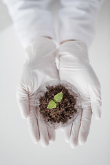 Image showing close up of scientist hands with plant and soil 