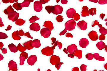 Image showing close up of red rose petals