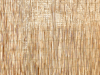 Image showing  Bamboo background vintage