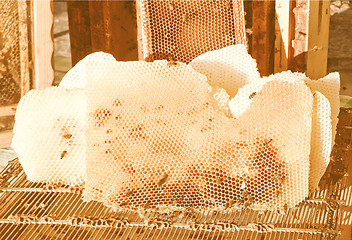 Image showing  Honeycomp picture vintage