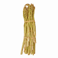 Image showing Retro looking Asparagus isolated