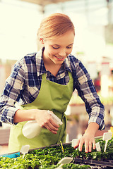 Image showing woman with sprayer and seedling in greenhouse