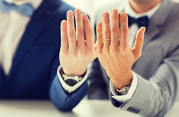 Image showing close up of male gay couple with wedding rings on