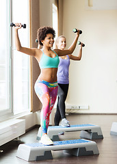 Image showing group of women with dumbbells and steppers