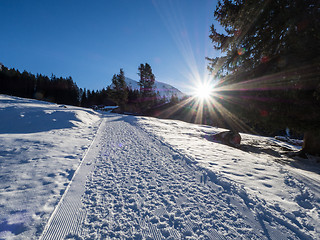 Image showing A trail in Klosters