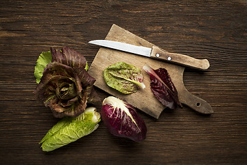 Image showing Radicchio Salad