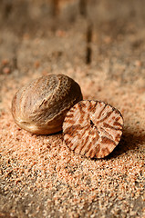 Image showing Nutmeg on wooden table