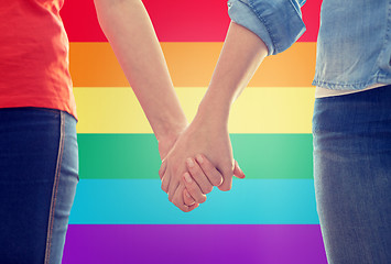 Image showing close up of lesbian couple holding hands