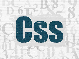 Image showing Database concept: Css on wall background