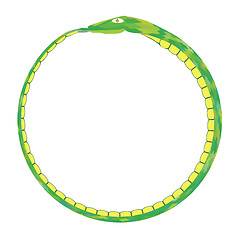 Image showing Green Snake Isolated 