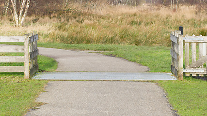 Image showing Cattle grid, Netherlands