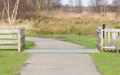 Image showing Cattle grid, Netherlands