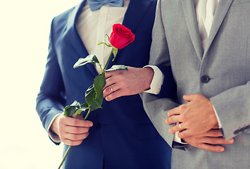 Image showing close up of happy male gay couple holding hands