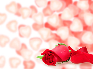 Image showing Frame  with a roses and bokeh shape of hearts