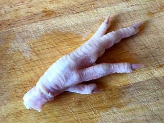 Image showing Chicken Foot