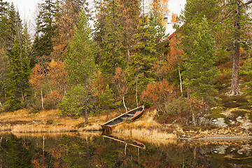 Image showing shoreline