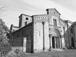 Image showing Black and white Santa Fede, Cavagnolo