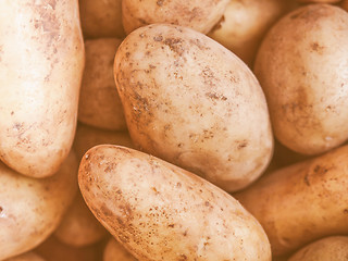 Image showing Retro looking Potato vegetable