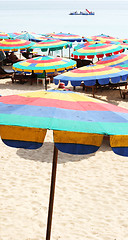 Image showing Beach umbrellas