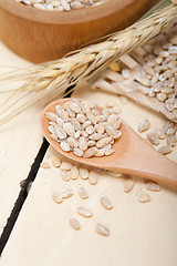 Image showing organic wheat grains 