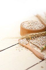 Image showing organic wheat grains 