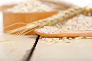 Image showing organic barley grains