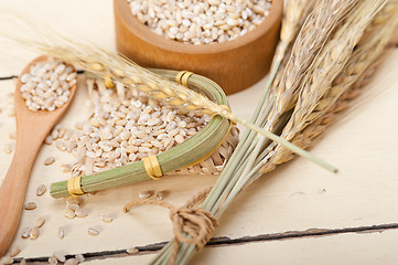 Image showing organic barley grains