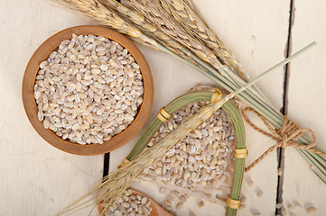 Image showing organic barley grains