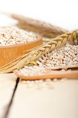 Image showing organic wheat grains 