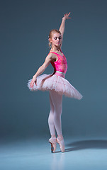 Image showing Portrait of the ballerina in ballet pose