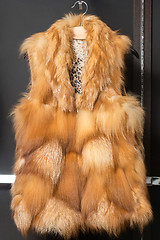 Image showing fox fur vest 