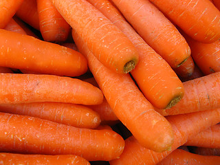 Image showing carrots