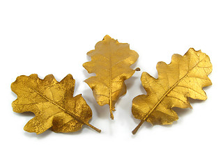 Image showing golden leaves