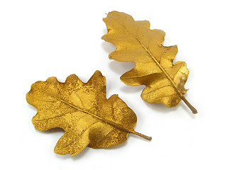 Image showing golden leaves