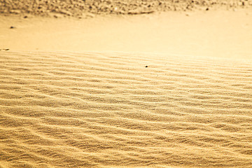 Image showing brown dry sand in  morocco africa erosion and abstract