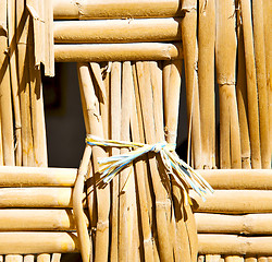 Image showing texture bamboo in morocco africa brown natural line closeup