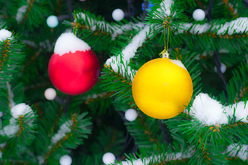 Image showing Yellow and red Christmas balls on fir branch in snow. Christmas 